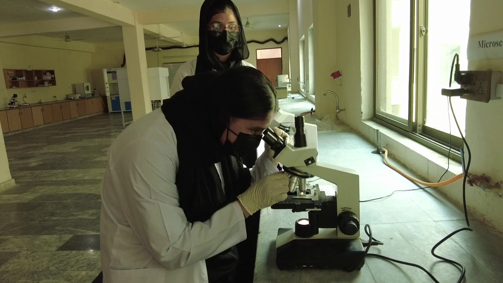 Medical Lab Technology Lab 11